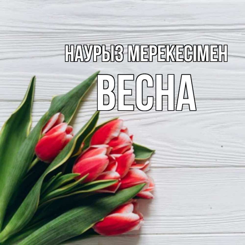 Күн сайын ашық хат с именем, Весна Наурыз мерекесімен весна 2 Онлайн тегін жүктеп алу тілектері бар керемет карта 