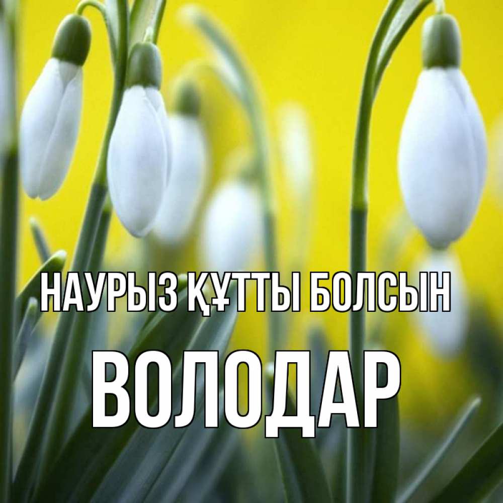 Күн сайын ашық хат с именем, Володар Наурыз құтты болсын весенние цветы Онлайн тегін жүктеп алу тілектері бар керемет карта 