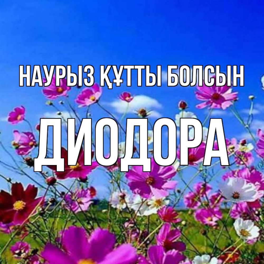 Күн сайын ашық хат с именем, Диодора Наурыз құтты болсын цветы Онлайн тегін жүктеп алу тілектері бар керемет карта 