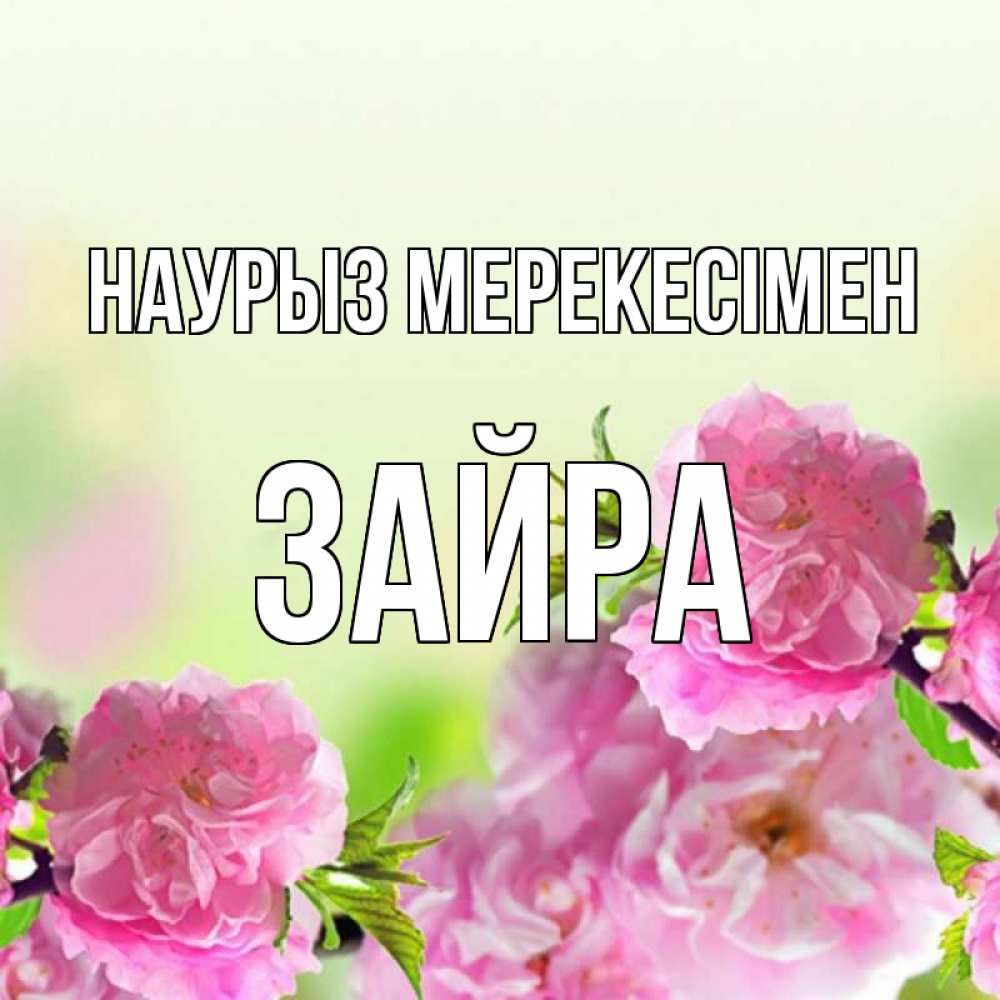 Күн сайын ашық хат с именем, ЗАЙРА Наурыз мерекесімен цветы Онлайн тегін жүктеп алу тілектері бар керемет карта 