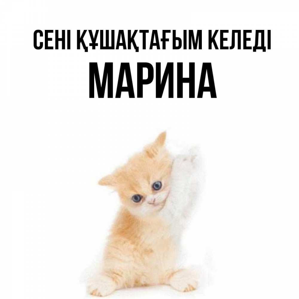 Күн сайын ашық хат с именем, Марина сені құшақтағым келеді я хочу очень скорее обнимаешек Онлайн тегін жүктеп алу тілектері бар керемет карта 