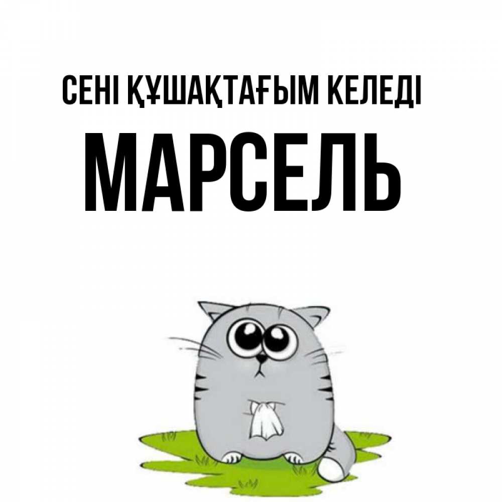 Күн сайын ашық хат с именем, Марсель сені құшақтағым келеді котик теребит платочек сидя на травке Онлайн тегін жүктеп алу тілектері бар керемет карта 
