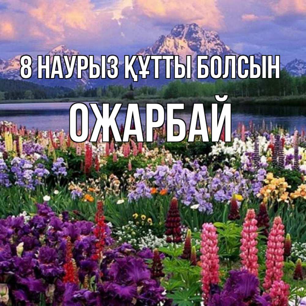 Күн сайын ашық хат с именем, ОЖАРБАЙ 8 наурыз құтты болсын международный женский день Онлайн тегін жүктеп алу тілектері бар керемет карта 