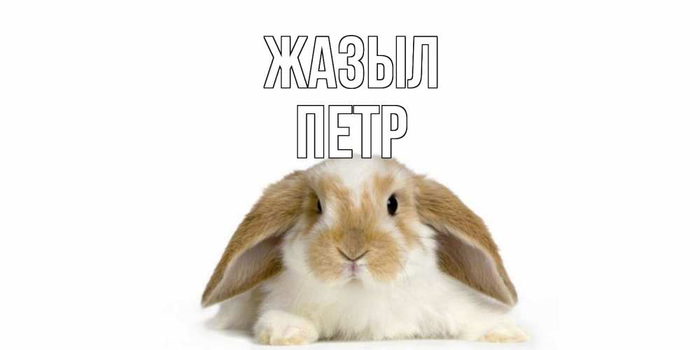Күн сайын ашық хат с именем, Петр Жазыл вислоухий кролик белого и коричневого цвета Онлайн тегін жүктеп алу тілектері бар керемет карта 
