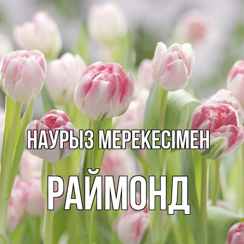 Күн сайын ашық хат с именем, Раймонд Наурыз мерекесімен цветы Онлайн тегін жүктеп алу тілектері бар керемет карта 