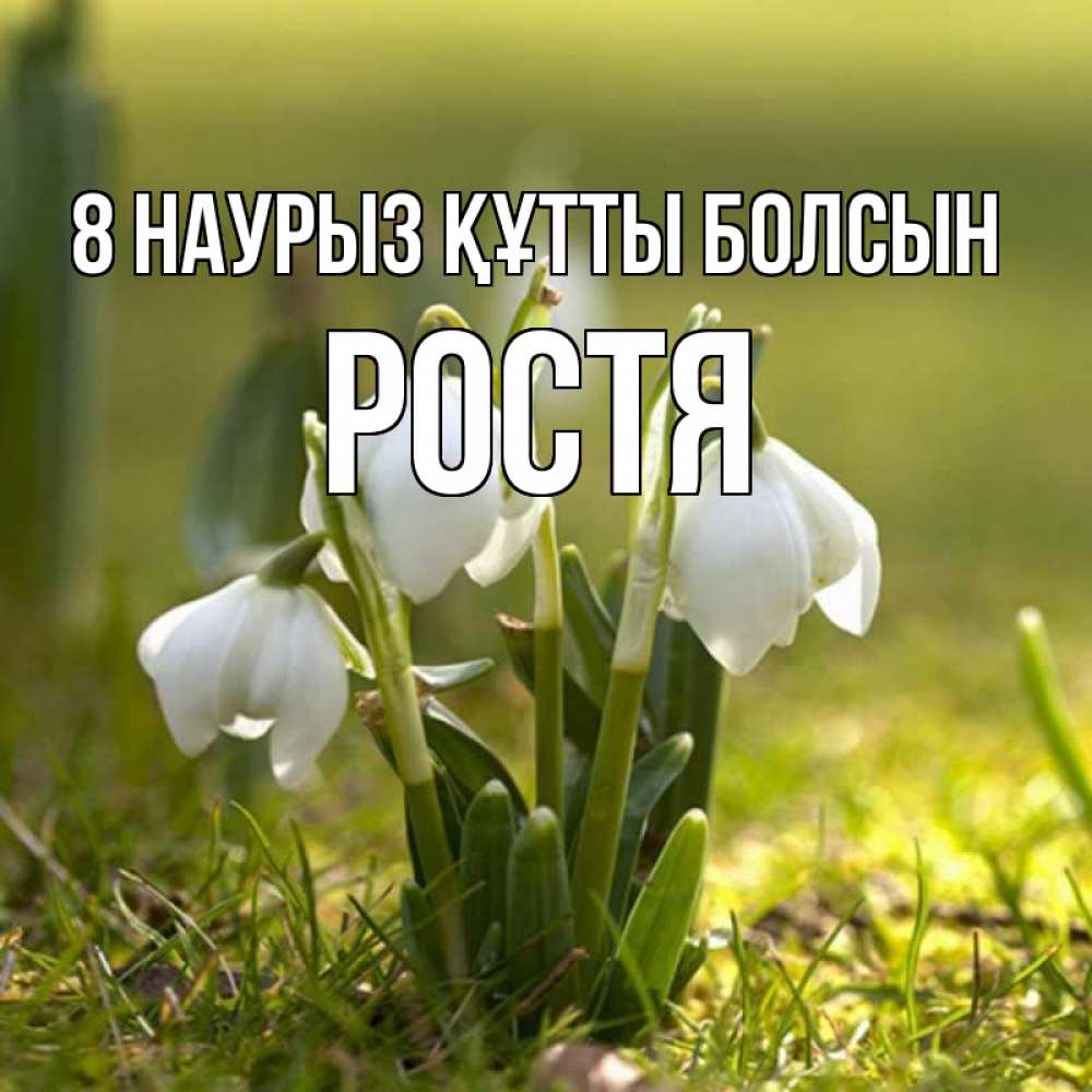 Күн сайын ашық хат с именем, Ростя 8 наурыз құтты болсын ранние цветы 2 Онлайн тегін жүктеп алу тілектері бар керемет карта 