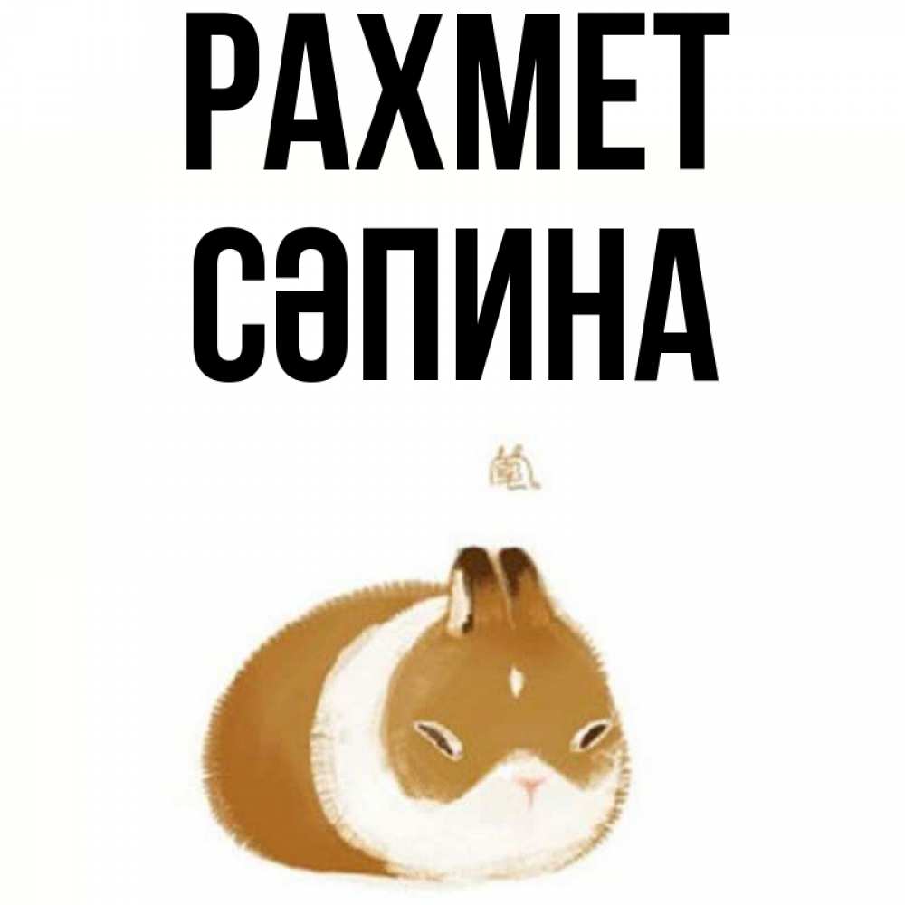Күн сайын ашық хат с именем, СӘПИНА рахмет коричнево белый домашний питомец Онлайн тегін жүктеп алу тілектері бар керемет карта 