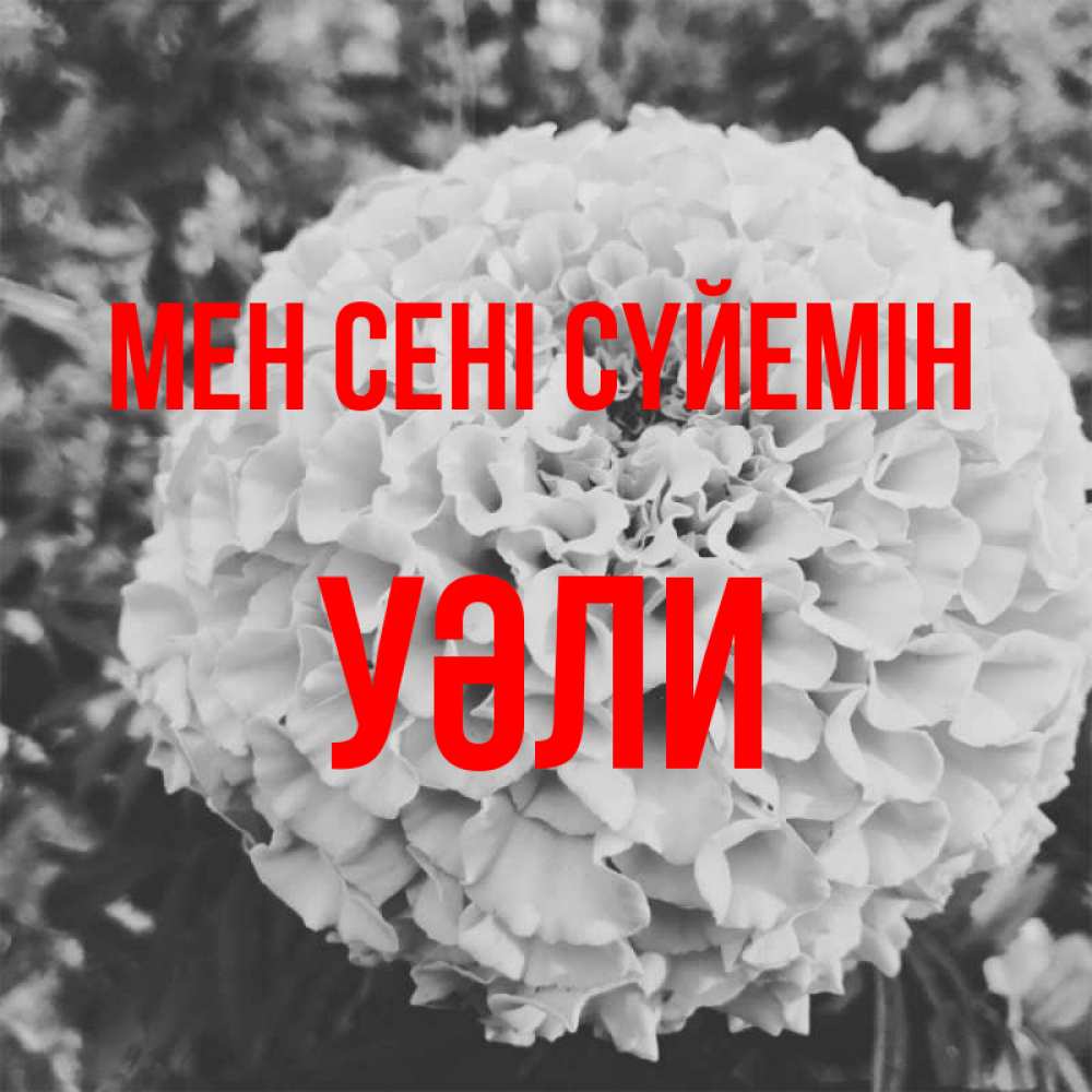 Күн сайын ашық хат с именем, УӘЛИ Мен сені сүйемін подпись Онлайн тегін жүктеп алу тілектері бар керемет карта 