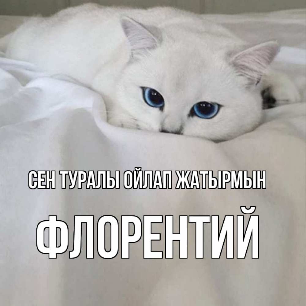 Күн сайын ашық хат с именем, Флорентий Сен туралы ойлап жатырмын я очень по тебе скучаю и тоскую Онлайн тегін жүктеп алу тілектері бар керемет карта 