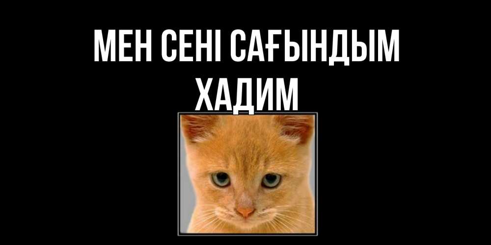 Күн сайын ашық хат с именем, ХАДИМ Мен сені сағындым открытки рыжий котенок скучает по тебе Онлайн тегін жүктеп алу тілектері бар керемет карта 