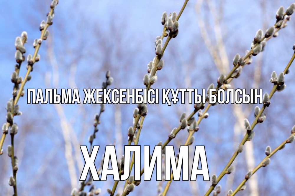 Күн сайын ашық хат с именем, ХАЛИМА Пальма жексенбісі құтты болсын верба Онлайн тегін жүктеп алу тілектері бар керемет карта 