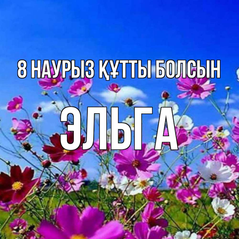 Күн сайын ашық хат с именем, Эльга 8 наурыз құтты болсын цветы Онлайн тегін жүктеп алу тілектері бар керемет карта 