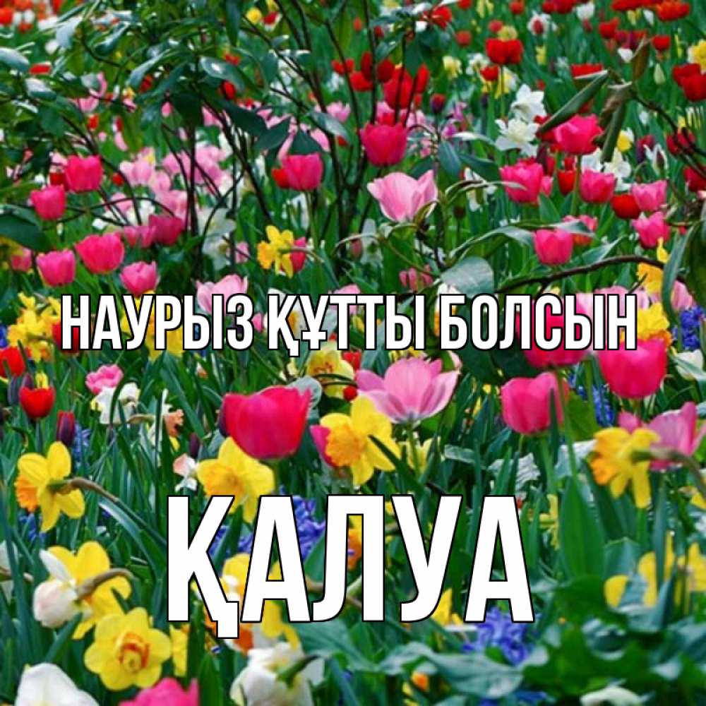 Күн сайын ашық хат с именем, ҚАЛУА Наурыз құтты болсын с наурызом поздравления для женщины Онлайн тегін жүктеп алу тілектері бар керемет карта 