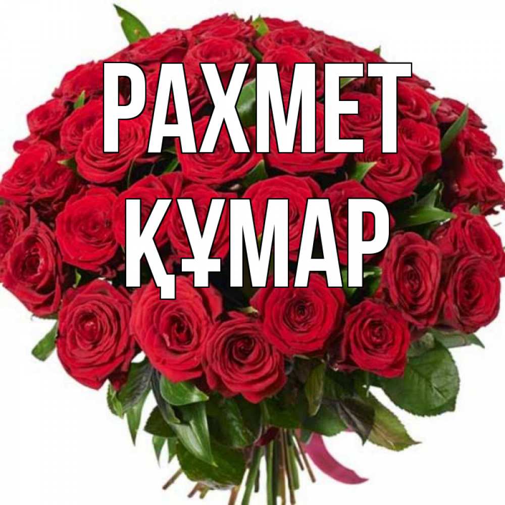 Күн сайын ашық хат с именем, ҚҰМАР рахмет букет красных роз Онлайн тегін жүктеп алу тілектері бар керемет карта 
