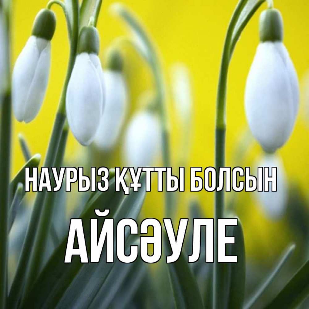 Күн сайын ашық хат с именем, АЙСӘУЛЕ Наурыз құтты болсын весенние цветы Онлайн тегін жүктеп алу тілектері бар керемет карта 
