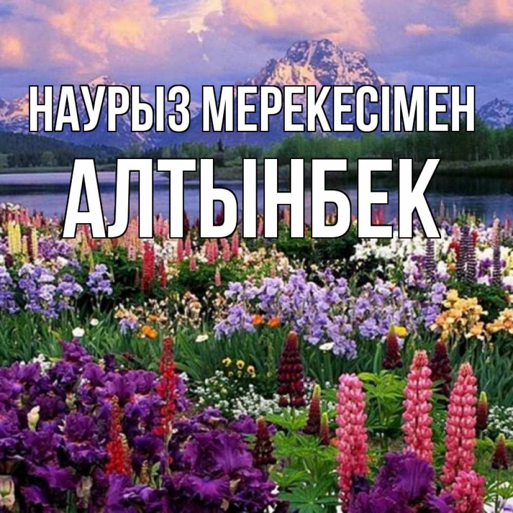 Күн сайын ашық хат с именем, Алтынбек Наурыз мерекесімен праздник весны наурыз Онлайн тегін жүктеп алу тілектері бар керемет карта 