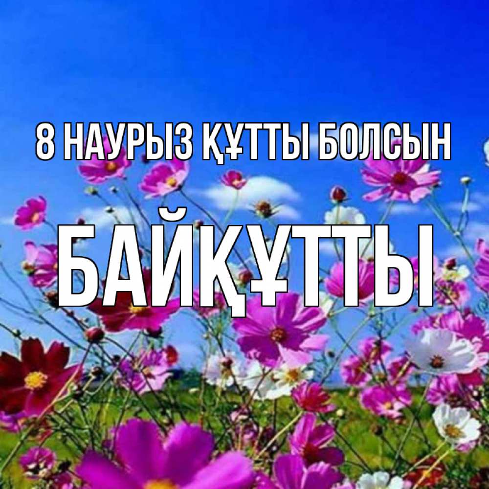 Күн сайын ашық хат с именем, Байқұтты 8 наурыз құтты болсын цветы Онлайн тегін жүктеп алу тілектері бар керемет карта 