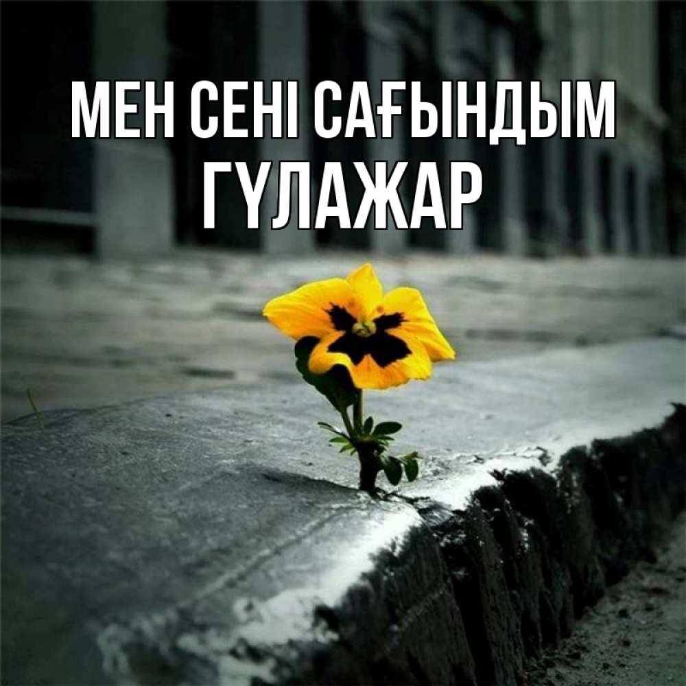 Күн сайын ашық хат с именем, ГҮЛАЖАР Мен сені сағындым надеюсь будет лучше Онлайн тегін жүктеп алу тілектері бар керемет карта 