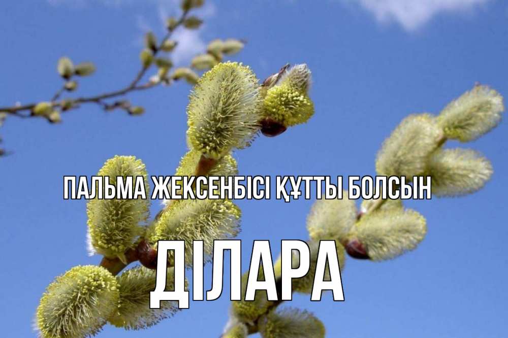 Күн сайын ашық хат с именем, ДІЛАРА Пальма жексенбісі құтты болсын верба Онлайн тегін жүктеп алу тілектері бар керемет карта 