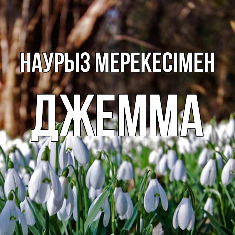 Күн сайын ашық хат с именем, Джемма Наурыз мерекесімен с подснежниками 1 Онлайн тегін жүктеп алу тілектері бар керемет карта 