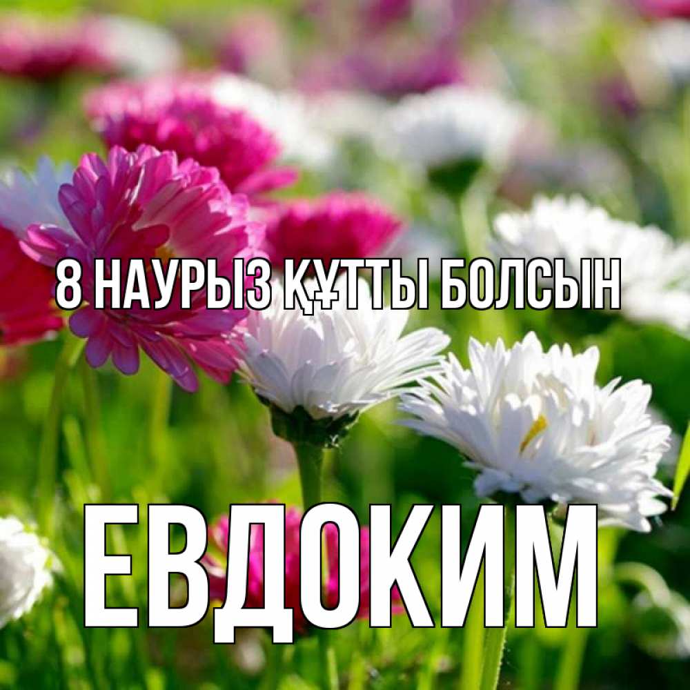 Күн сайын ашық хат с именем, Евдоким 8 наурыз құтты болсын международный женский день 1 Онлайн тегін жүктеп алу тілектері бар керемет карта 