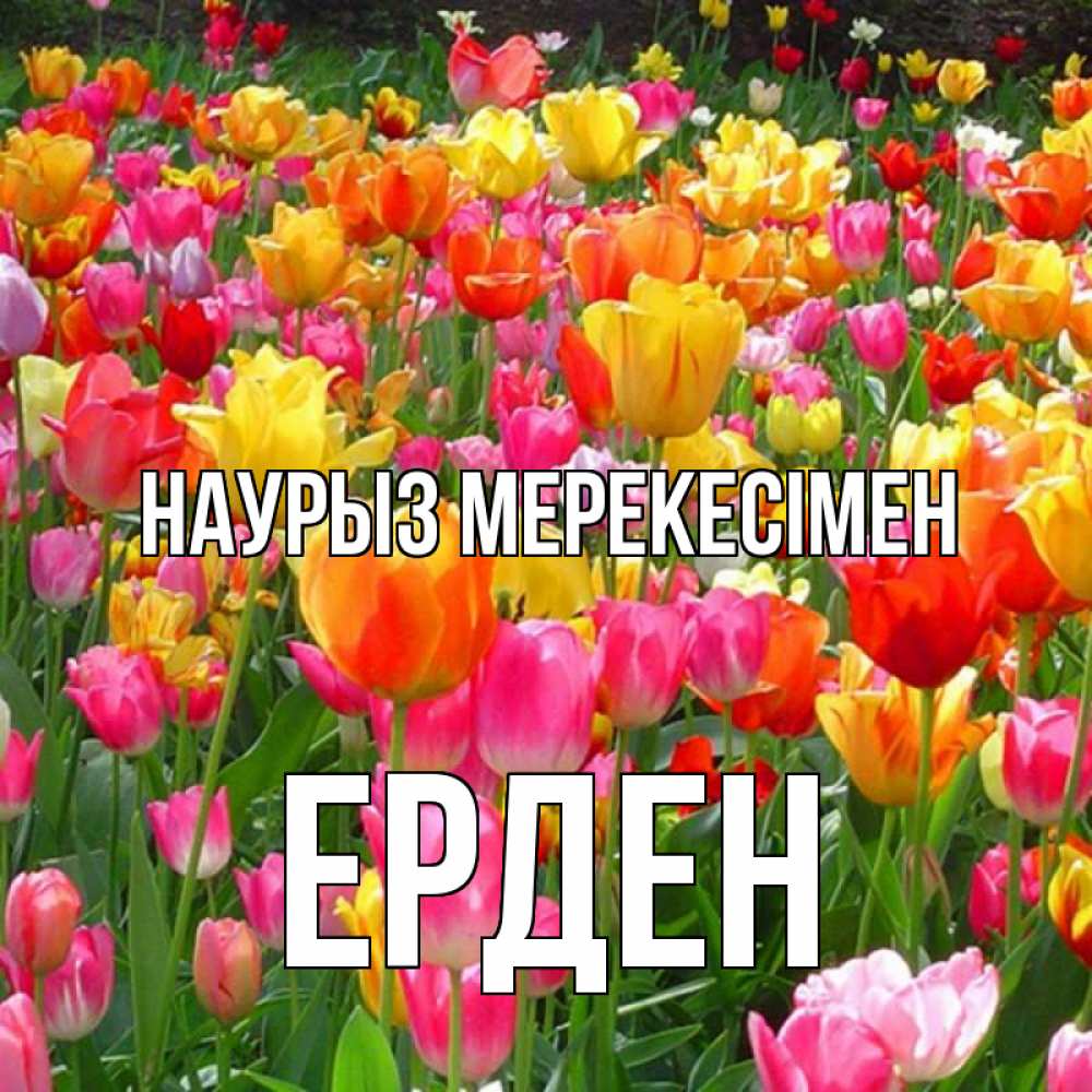 Күн сайын ашық хат с именем, Ерден Наурыз мерекесімен праздник весны наурыз 4 Онлайн тегін жүктеп алу тілектері бар керемет карта 