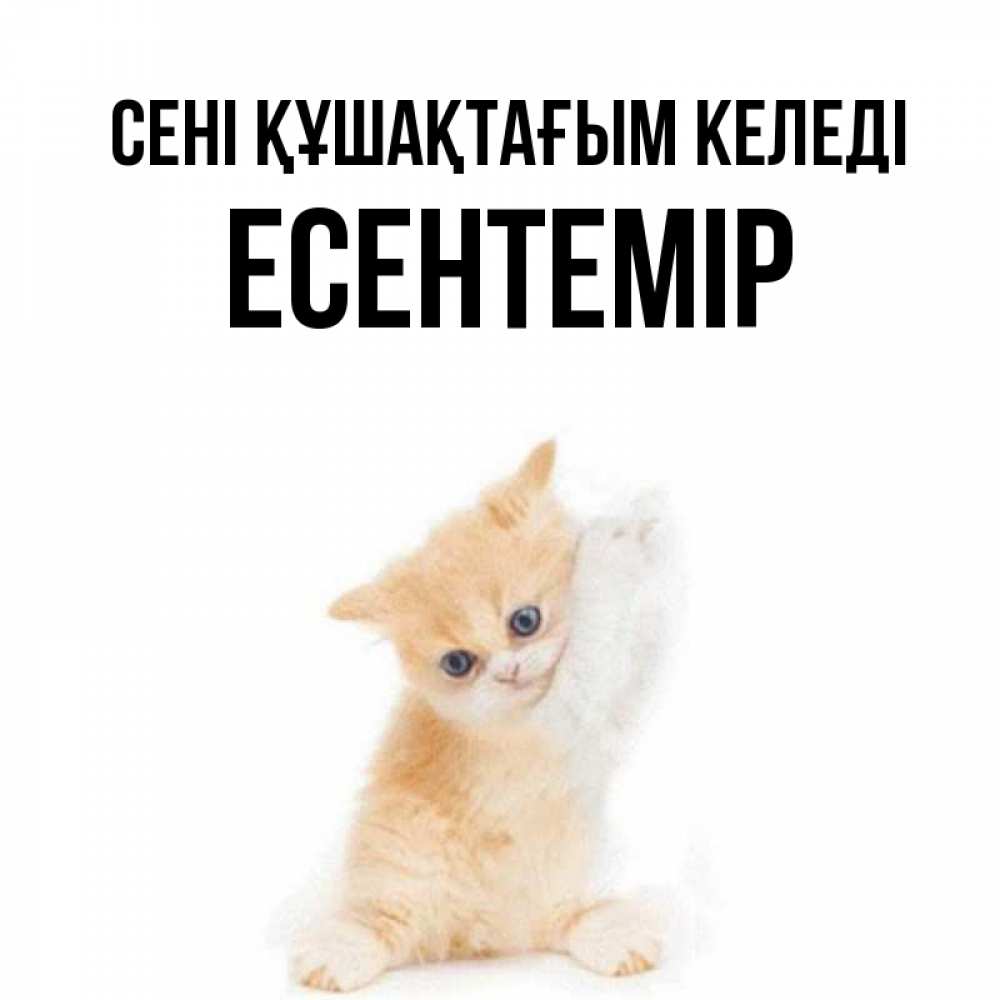 Күн сайын ашық хат с именем, Есентемір сені құшақтағым келеді я хочу очень скорее обнимаешек Онлайн тегін жүктеп алу тілектері бар керемет карта 