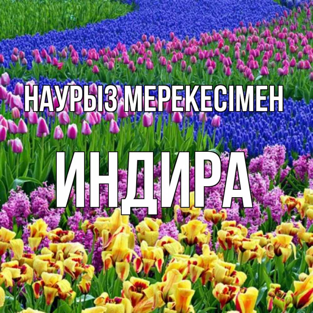 Күн сайын ашық хат с именем, ИНДИРА Наурыз мерекесімен цветы Онлайн тегін жүктеп алу тілектері бар керемет карта 