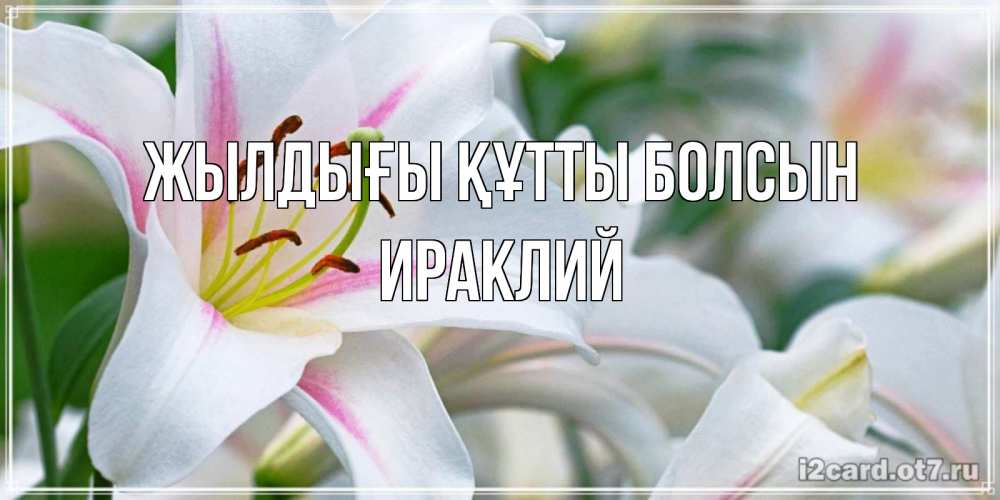 Күн сайын ашық хат с именем, Ираклий Жылдығы құтты болсын открытка с белой лилией Онлайн тегін жүктеп алу тілектері бар керемет карта 