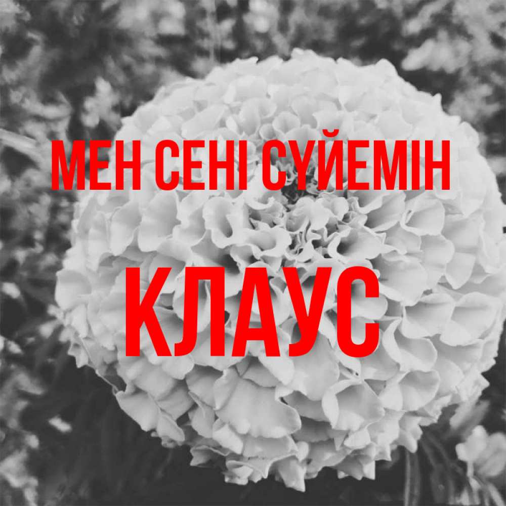 Күн сайын ашық хат с именем, Клаус Мен сені сүйемін подпись Онлайн тегін жүктеп алу тілектері бар керемет карта 