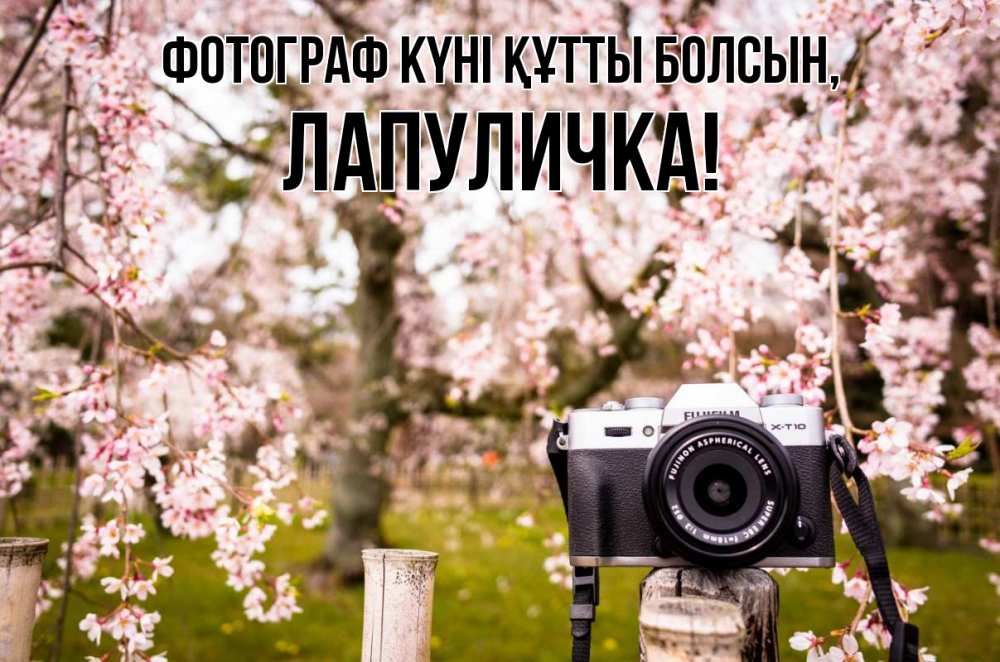 Күн сайын ашық хат с именем, Лапуличка Фотограф күні құтты болсын сирень с днем фотографа, фотоаппарат Онлайн тегін жүктеп алу тілектері бар керемет карта 
