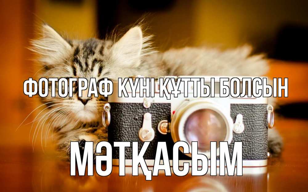 Күн сайын ашық хат с именем, МӘТҚАСЫМ Фотограф күні құтты болсын с днем фотографа Онлайн тегін жүктеп алу тілектері бар керемет карта 