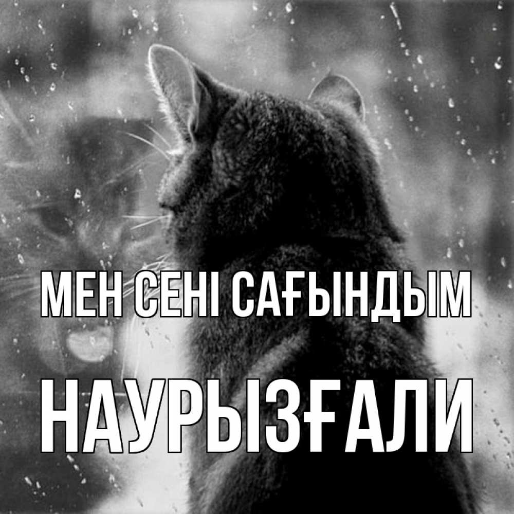 Күн сайын ашық хат с именем, Наурызғали Мен сені сағындым скорее ко мне приходи 1 Онлайн тегін жүктеп алу тілектері бар керемет карта 