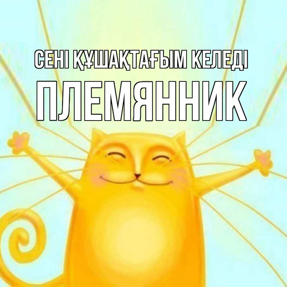 Күн сайын ашық хат с именем, Племянник сені құшақтағым келеді солнечный обнимашечный кот Онлайн тегін жүктеп алу тілектері бар керемет карта 