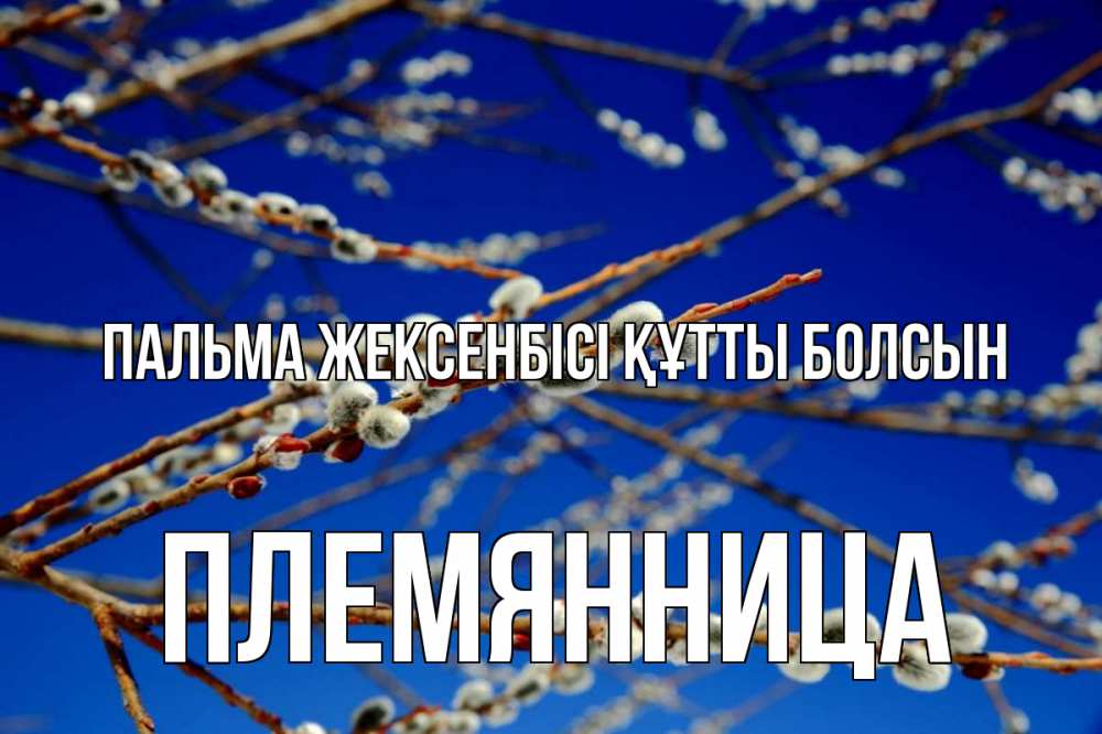 Күн сайын ашық хат с именем, Племянница Пальма жексенбісі құтты болсын верба Онлайн тегін жүктеп алу тілектері бар керемет карта 