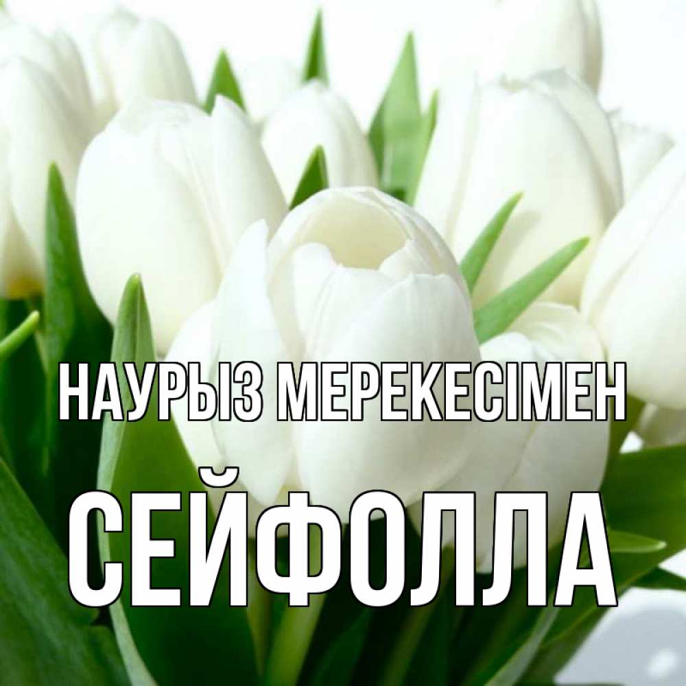 Күн сайын ашық хат с именем, СЕЙФОЛЛА Наурыз мерекесімен цветы Онлайн тегін жүктеп алу тілектері бар керемет карта 