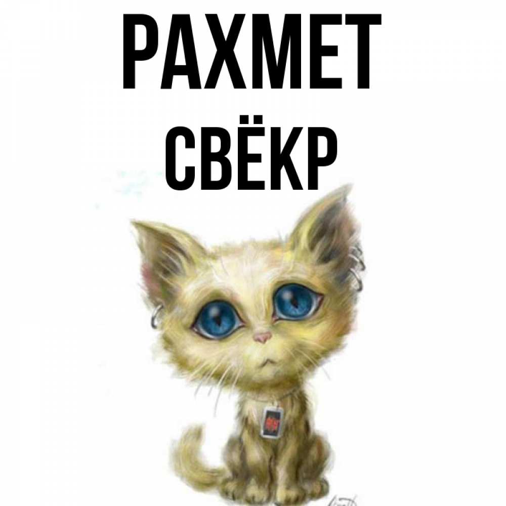 Күн сайын ашық хат с именем, Свёкр рахмет рисованный кот благодарит вас Онлайн тегін жүктеп алу тілектері бар керемет карта 