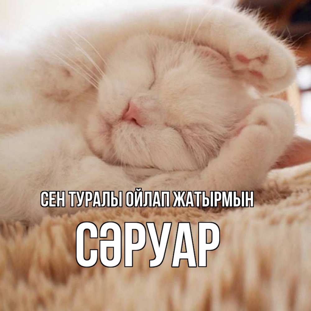 Күн сайын ашық хат с именем, СӘРУАР Сен туралы ойлап жатырмын для любимой девушки милота Онлайн тегін жүктеп алу тілектері бар керемет карта 