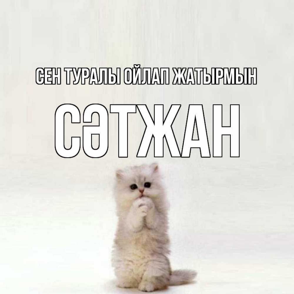 Күн сайын ашық хат с именем, СӘТЖАН Сен туралы ойлап жатырмын кот стоит на задних лапах Онлайн тегін жүктеп алу тілектері бар керемет карта 