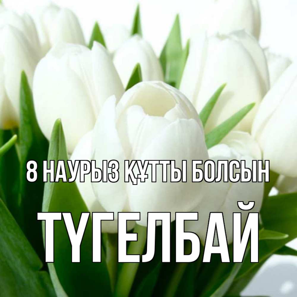 Күн сайын ашық хат с именем, ТҮГЕЛБАЙ 8 наурыз құтты болсын цветы Онлайн тегін жүктеп алу тілектері бар керемет карта 