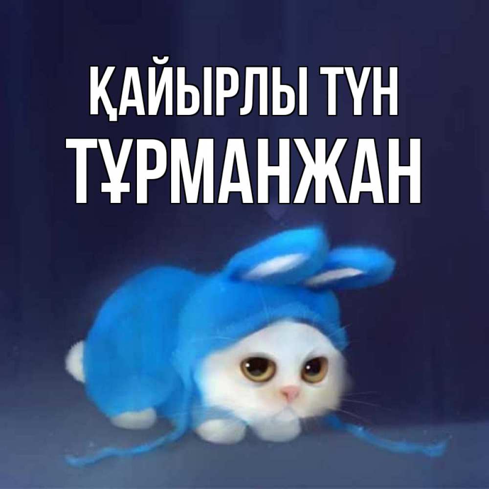 Күн сайын ашық хат с именем, ТҰРМАНЖАН Қайырлы түн кот в голубом костюме кролика с ушками Онлайн тегін жүктеп алу тілектері бар керемет карта 