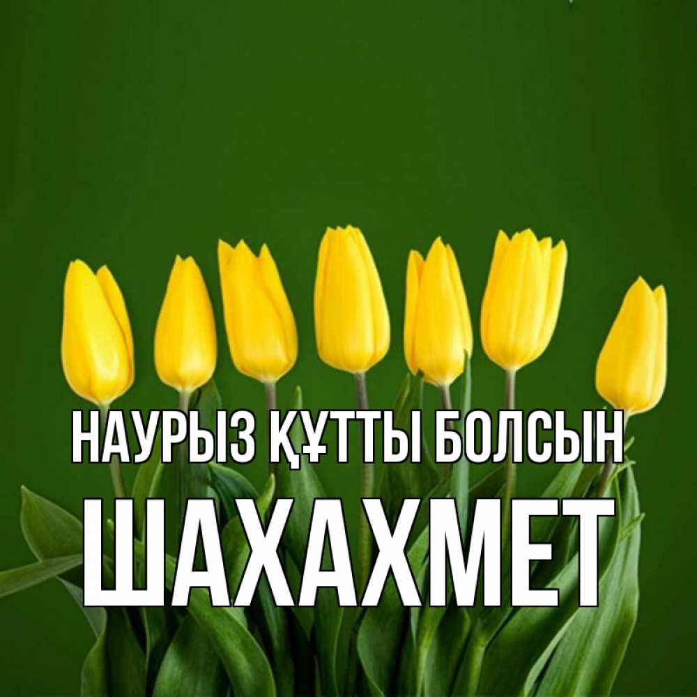 Күн сайын ашық хат с именем, ШАХАХМЕТ Наурыз құтты болсын желтого цвета 3 Онлайн тегін жүктеп алу тілектері бар керемет карта 