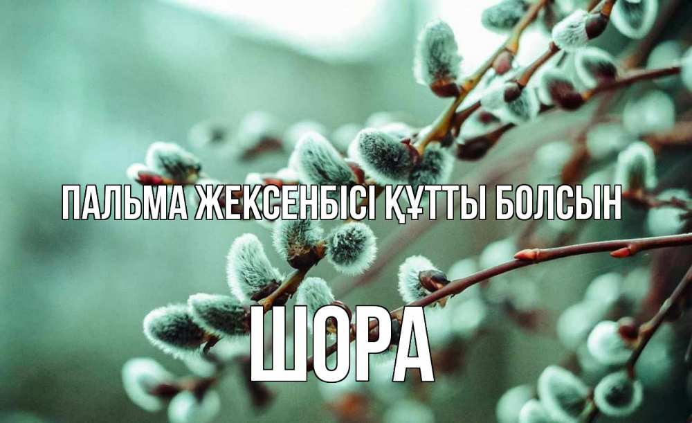 Күн сайын ашық хат с именем, ШОРА Пальма жексенбісі құтты болсын верба Онлайн тегін жүктеп алу тілектері бар керемет карта 