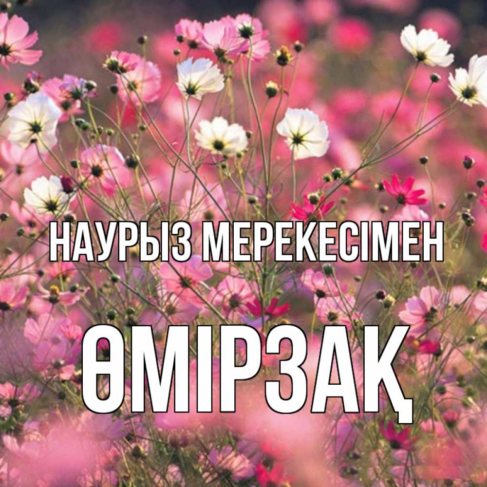 Күн сайын ашық хат с именем, ӨМІРЗАҚ Наурыз мерекесімен красиво 1 Онлайн тегін жүктеп алу тілектері бар керемет карта 