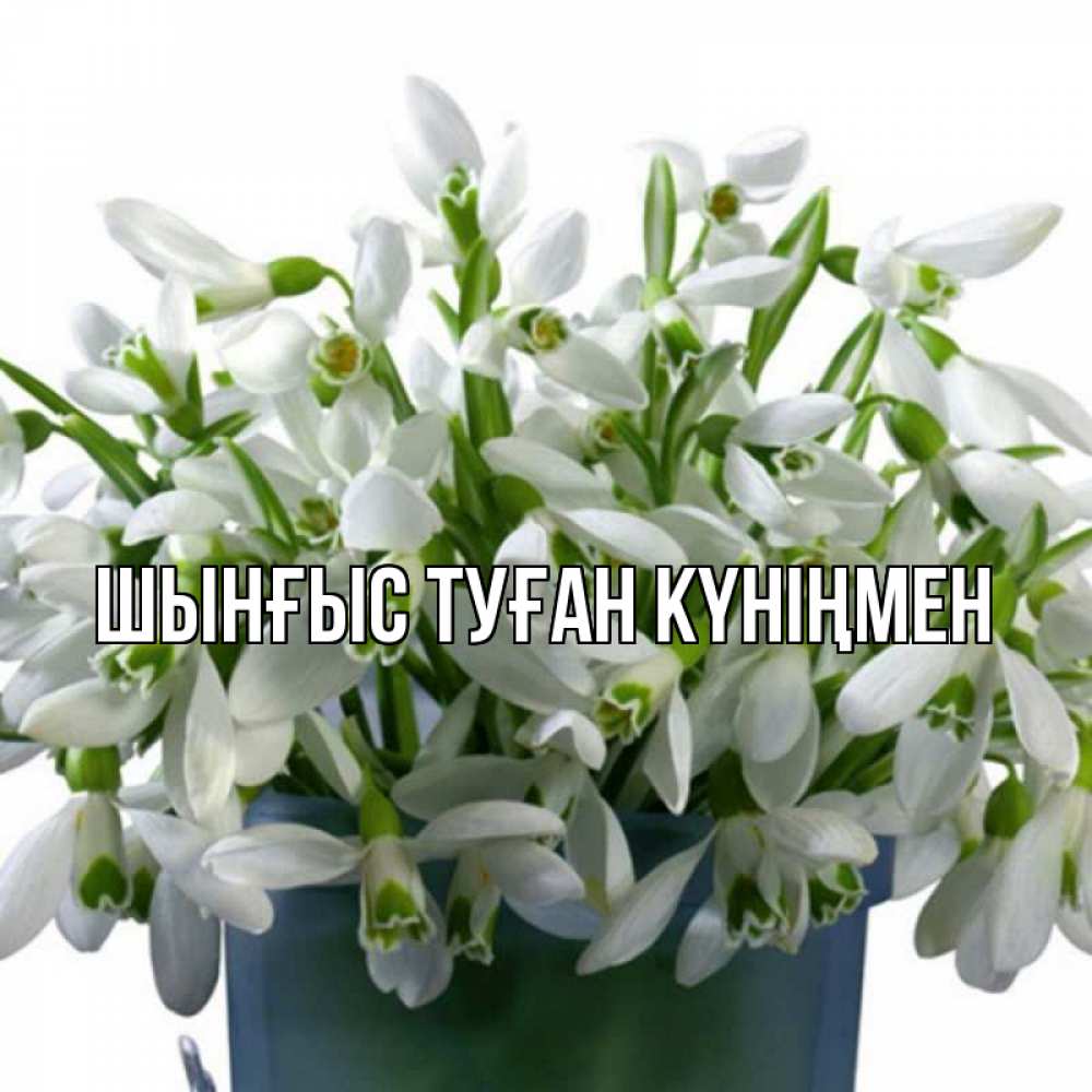 Картинка  с именем , ШЫНҒЫС! ТУҒАН КҮНІҢМЕН!