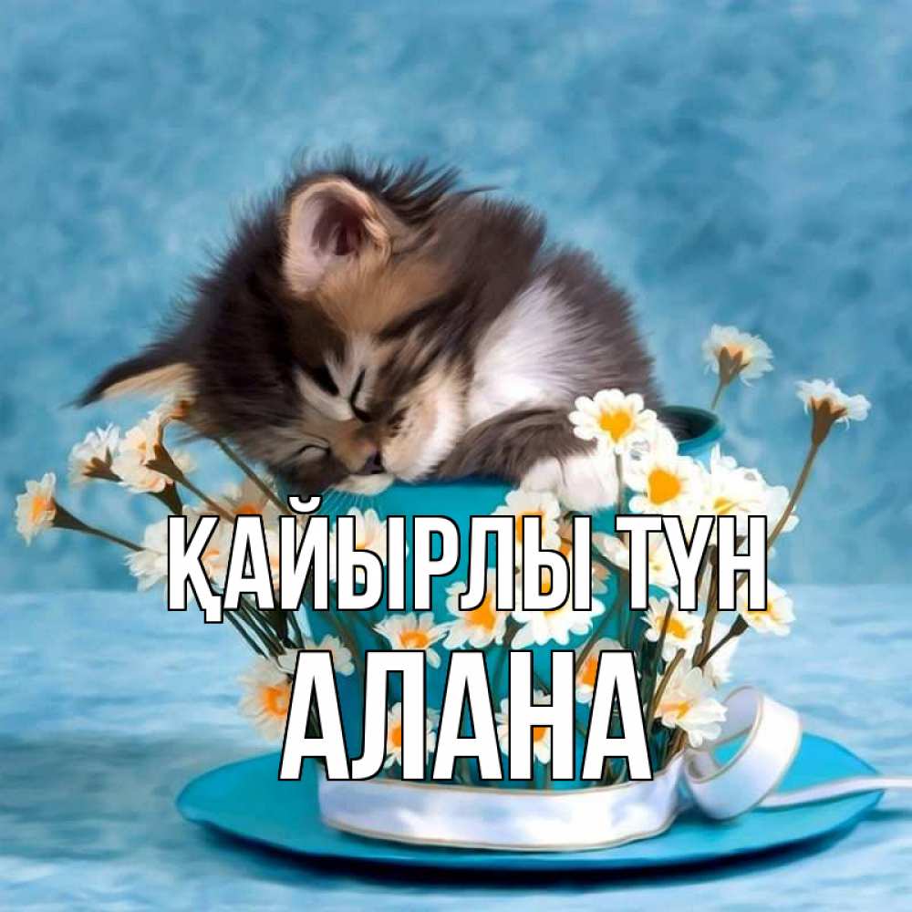 Күн сайын ашық хат с именем, Алана Қайырлы түн котенок спит в кружке с блюдцем Онлайн тегін жүктеп алу тілектері бар керемет карта 