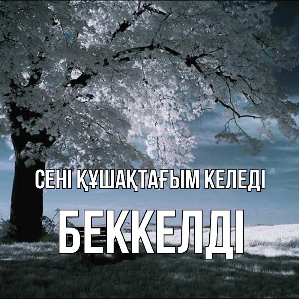 Күн сайын ашық хат с именем, Беккелді сені құшақтағым келеді дерево Онлайн тегін жүктеп алу тілектері бар керемет карта 