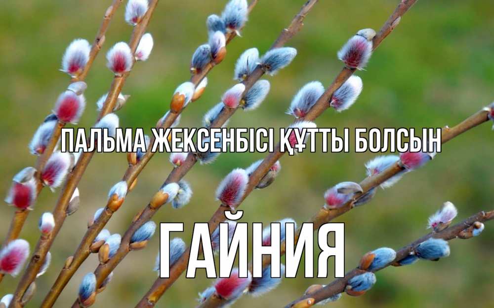 Күн сайын ашық хат с именем, ГАЙНИЯ Пальма жексенбісі құтты болсын верба Онлайн тегін жүктеп алу тілектері бар керемет карта 