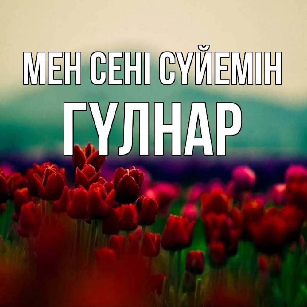 Күн сайын ашық хат с именем, ГҮЛНАР Мен сені сүйемін тюльпаны 4 Онлайн тегін жүктеп алу тілектері бар керемет карта 