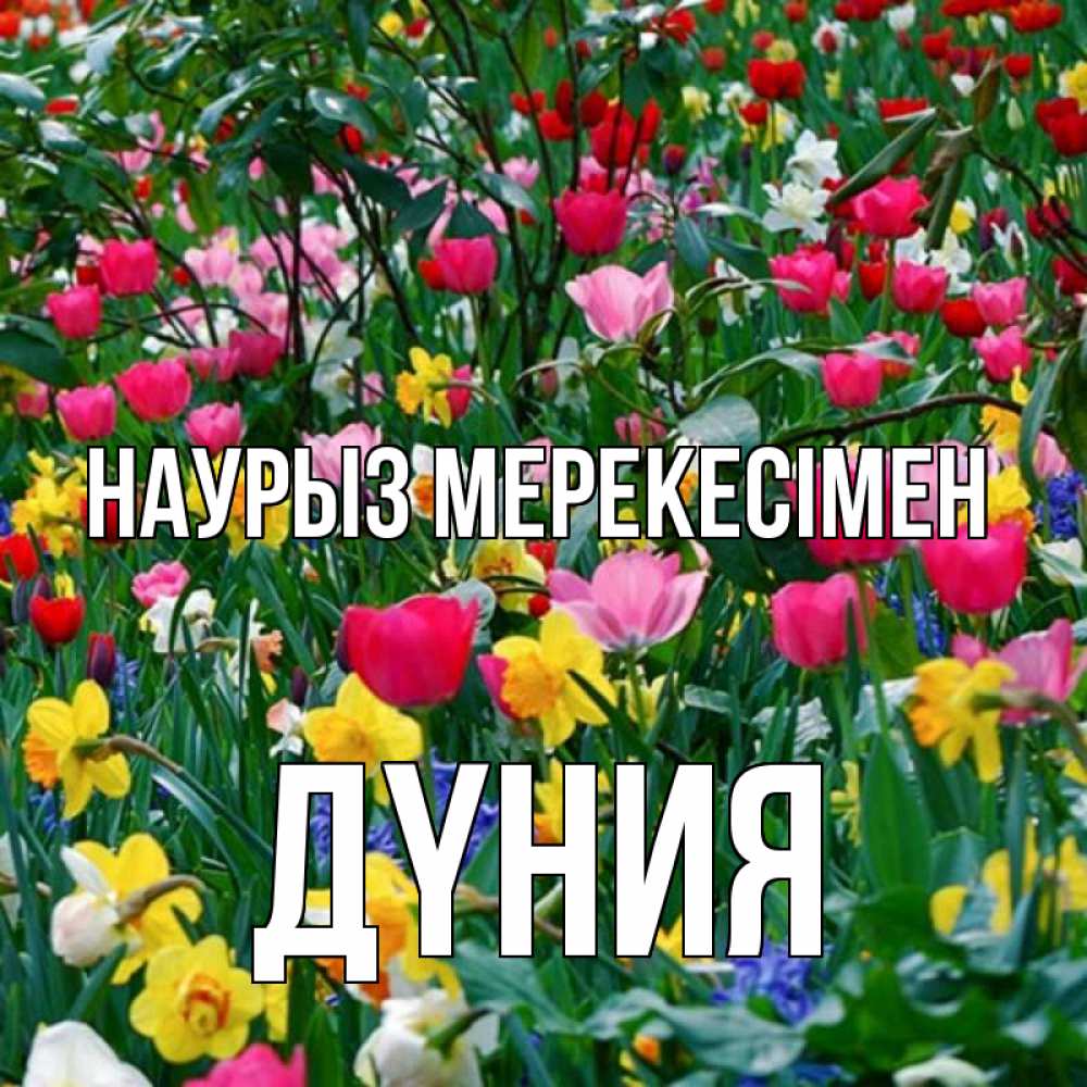 Күн сайын ашық хат с именем, ДҮНИЯ Наурыз мерекесімен с наурызом праздником весны поздравления для женщины Онлайн тегін жүктеп алу тілектері бар керемет карта 